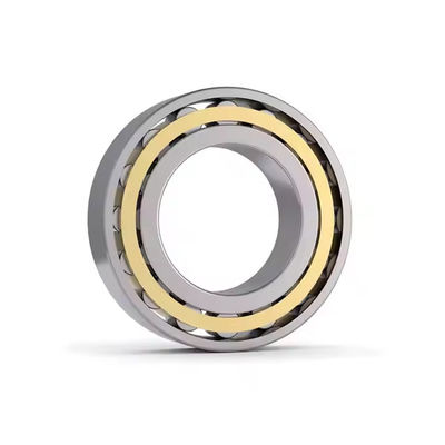 Machine Parts N1060 Cylindrical Roller Bearing Steel Professional Bearing Manufacturer